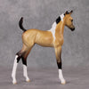 Marquette OOAK Custom Buckskin Pinto Arab Foal By Jess Hamill HS24