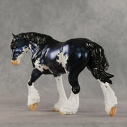 London LE-20 FCM Irish Cob by Julie Keim TS26