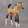 Marquette OOAK Custom Buckskin Pinto Arab Foal By Jess Hamill HS24