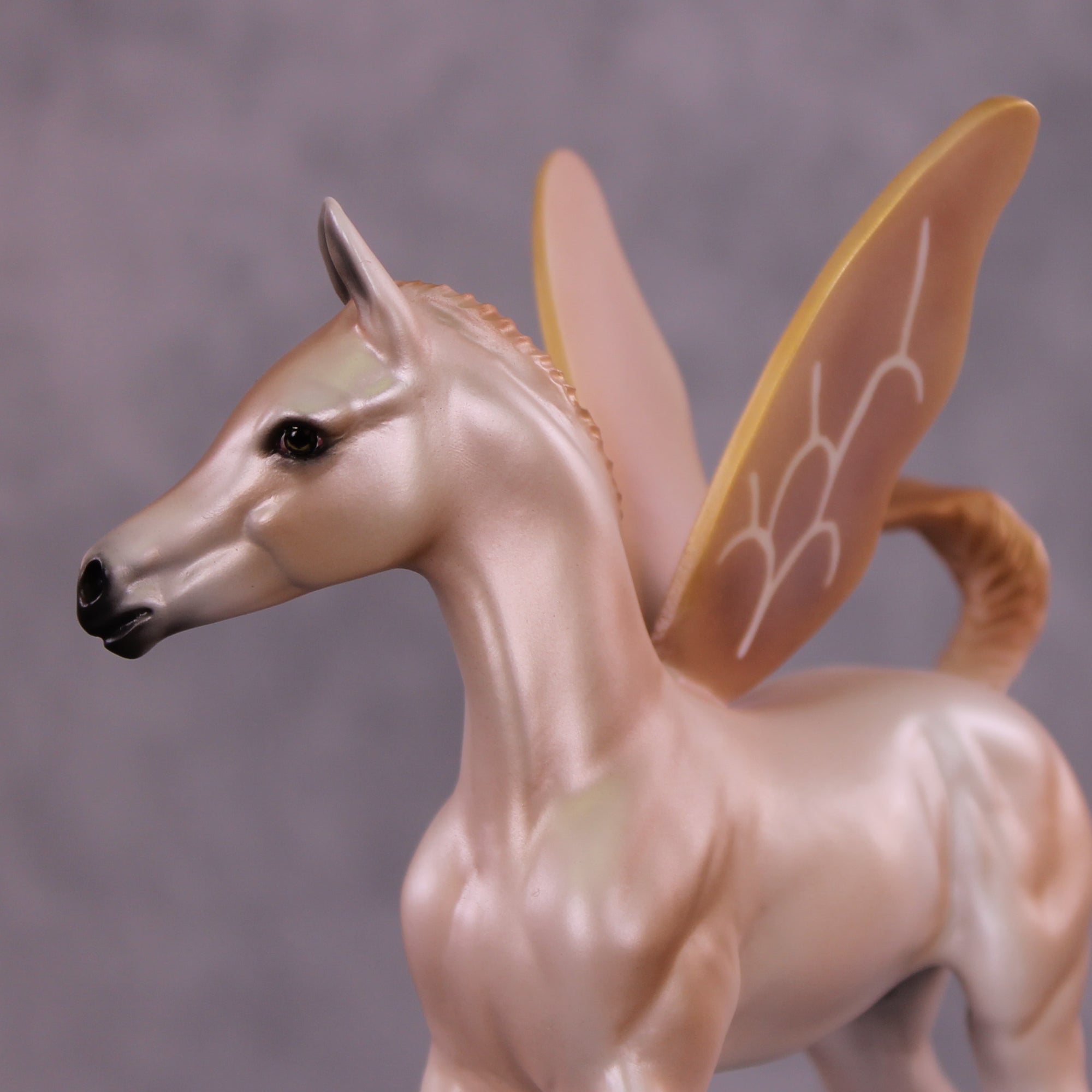 Rosalie OOAK FCM Arabian Foal by Carrie Keller Best Offer 07/22/25