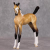 Marquette OOAK Custom Buckskin Pinto Arab Foal By Jess Hamill HS24