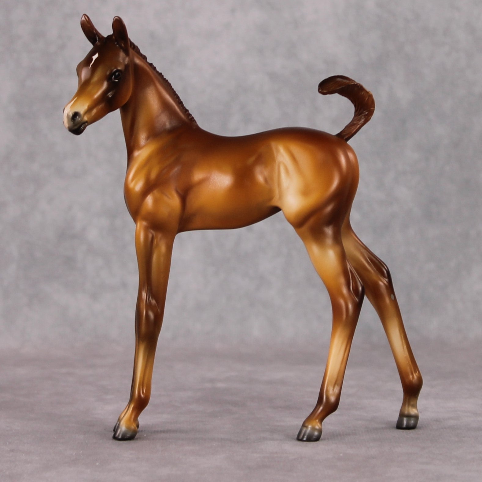 Raul OOAK Custom Chestnut Arab Foal By Julie Keim HS24