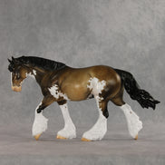 Birmingham LE-20 FCM Irish Cob by Julie Keim TS26