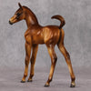 Raul OOAK Custom Chestnut Arab Foal By Julie Keim HS24