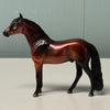 Cedar LE-6 Bay Andalusian Chip By Angela Marleau $99 Chip Sale