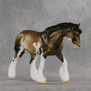 Birmingham LE-20 FCM Irish Cob by Julie Keim TS26