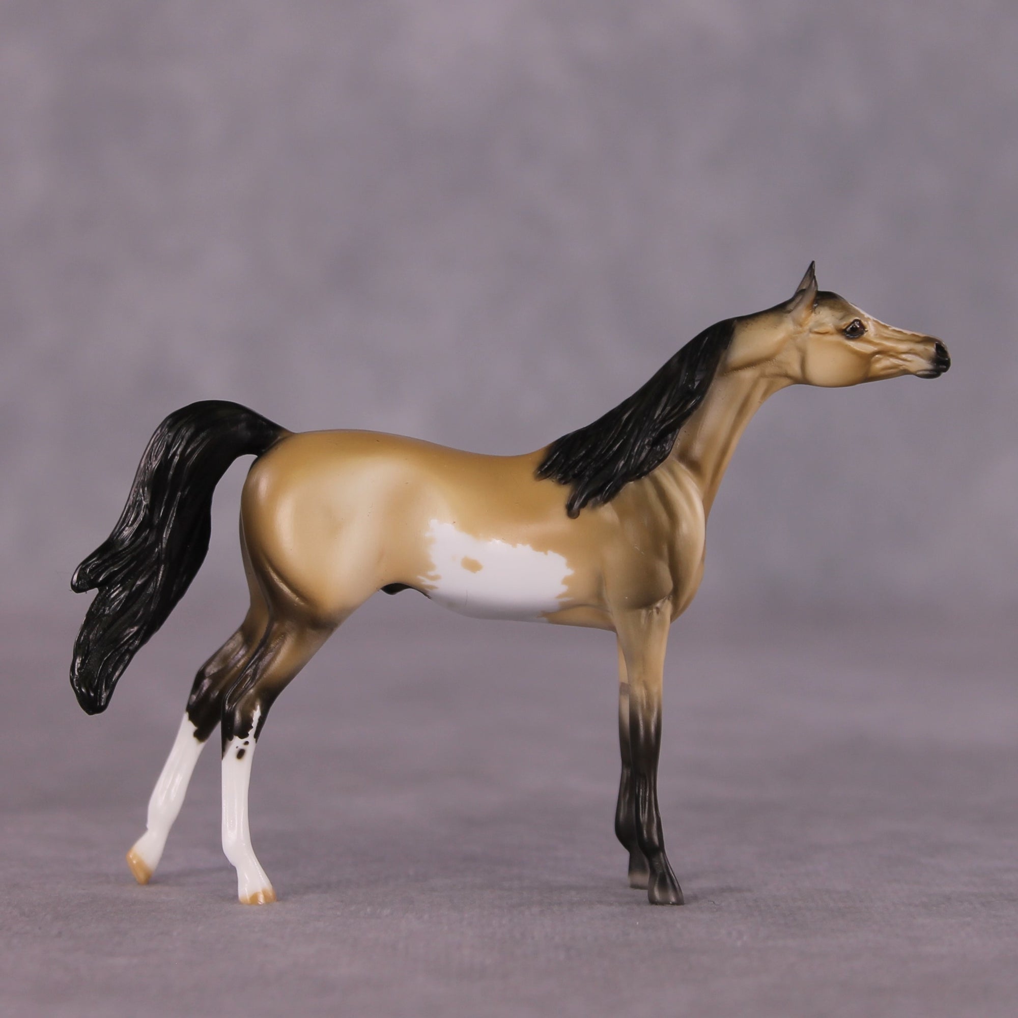 "Pilcrow" OOAK Arabian Chip by Dawn Quick SHCF25OS