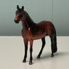 Cedar LE-6 Bay Andalusian Chip By Angela Marleau $99 Chip Sale