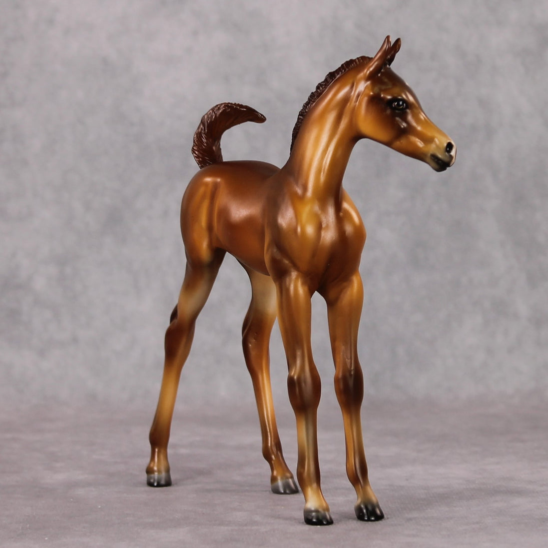 Raul OOAK Custom Chestnut Arab Foal By Julie Keim HS24