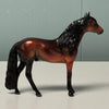 Cedar LE-6 Bay Andalusian Chip By Angela Marleau $99 Chip Sale