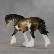 Birmingham LE-20 FCM Irish Cob by Julie Keim TS26