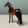 Cedar LE-6 Bay Andalusian Chip By Angela Marleau $99 Chip Sale