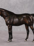 Cookie OOAK Dark Bay Black Custom Pebble Arabian By Julie Keim HS24