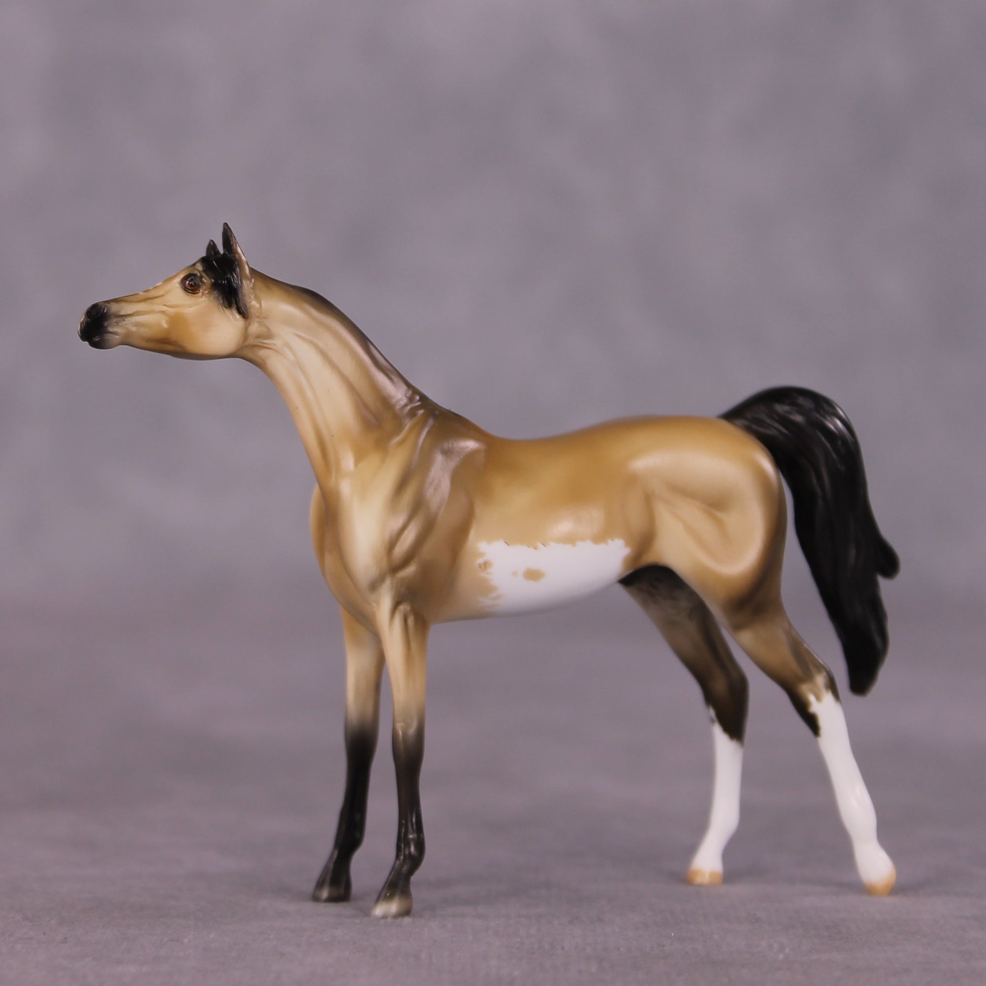 "Pilcrow" OOAK Arabian Chip by Dawn Quick SHCF25OS