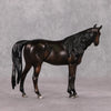 Cookie OOAK Dark Bay Black Custom Pebble Arabian By Julie Keim HS24