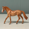 Sequoia LE-6 Chestnut Warmblood Chip By Angela Marleau $99 Chip Sale