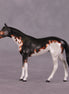 "Accismus" OOAK Thoroghbred Chip by Dawn Quick SHCF25