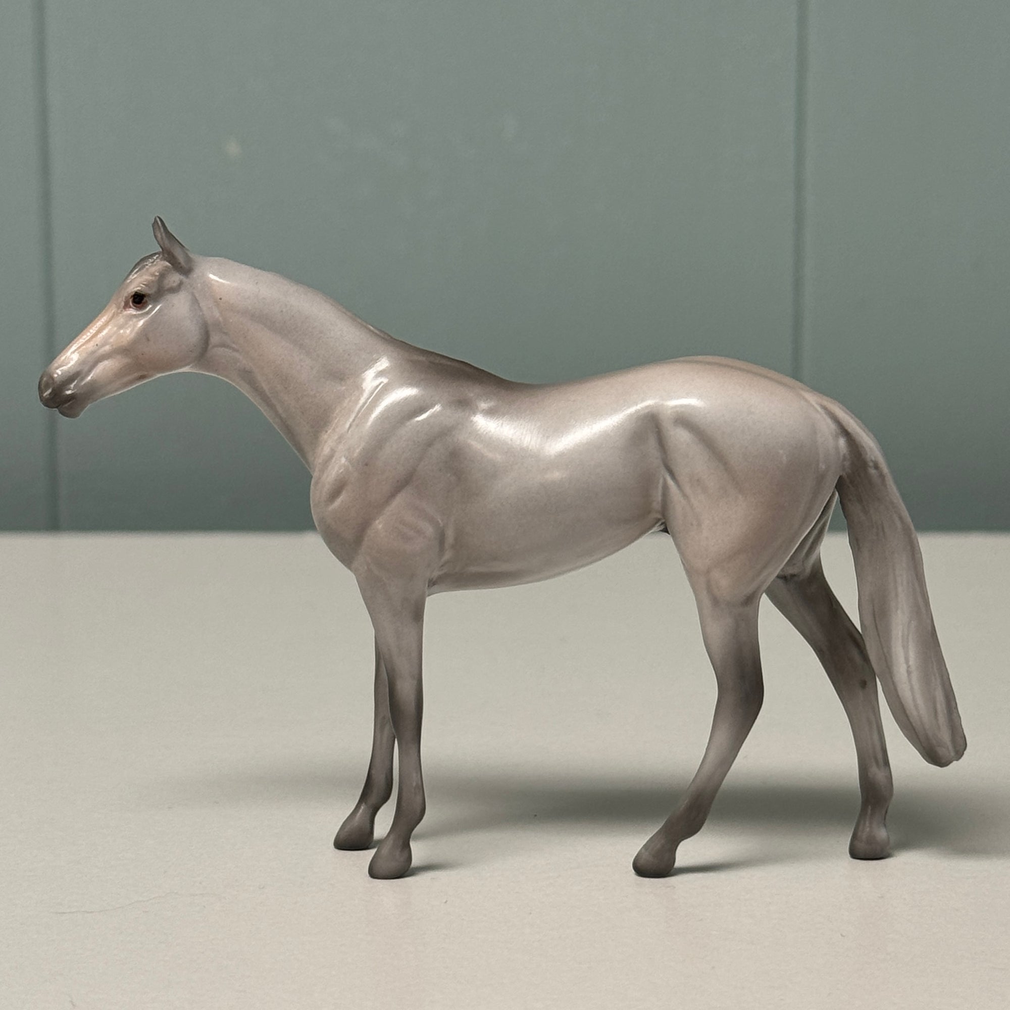 Ash LE-6 Grey Thoroughbred Chip By Angela Marleau $99 Chip Sale