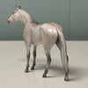 Ash LE-6 Grey Thoroughbred Chip By Angela Marleau $99 Chip Sale