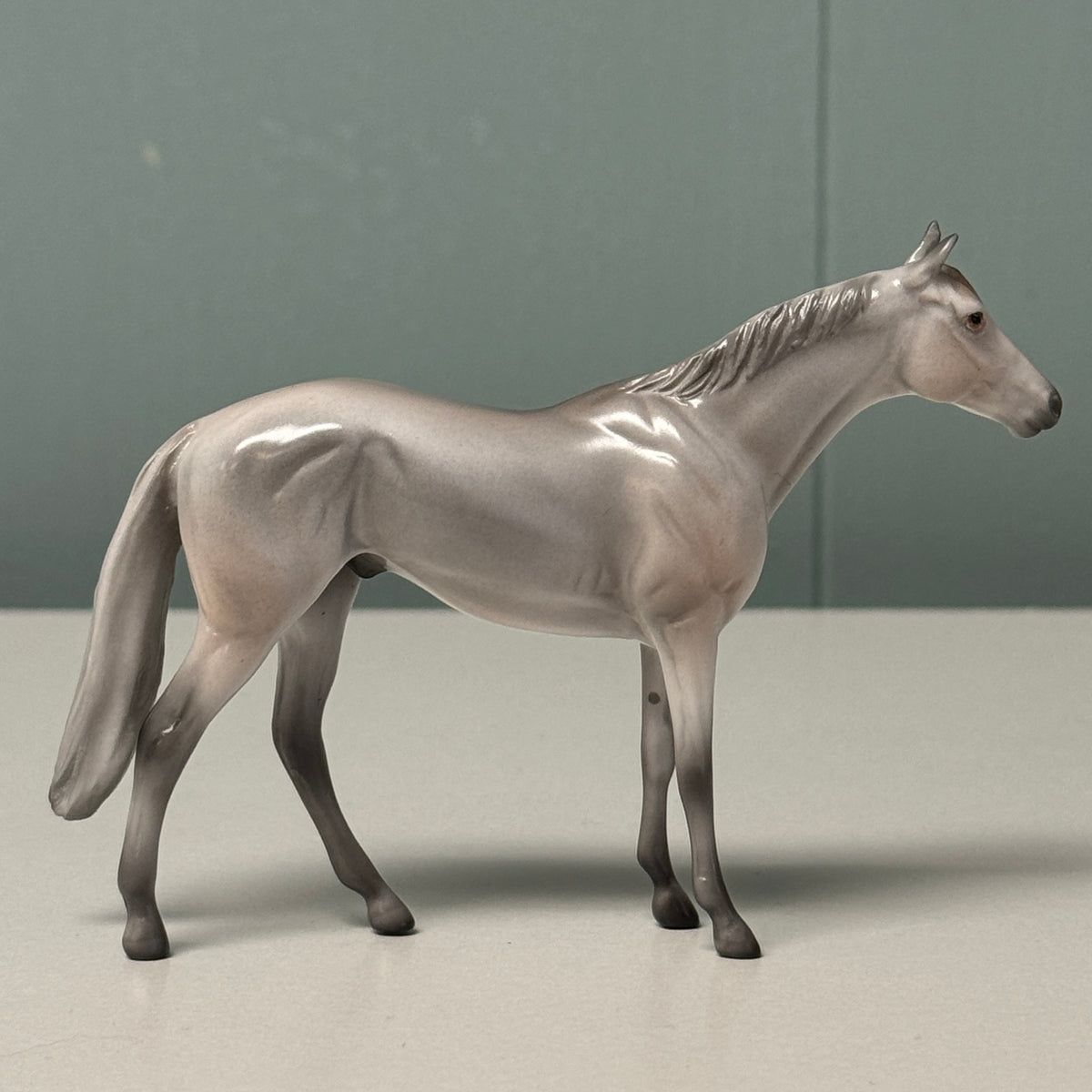 Ash LE-6 Grey Thoroughbred Chip By Angela Marleau $99 Chip Sale