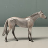 Ash LE-6 Grey Thoroughbred Chip By Angela Marleau $99 Chip Sale