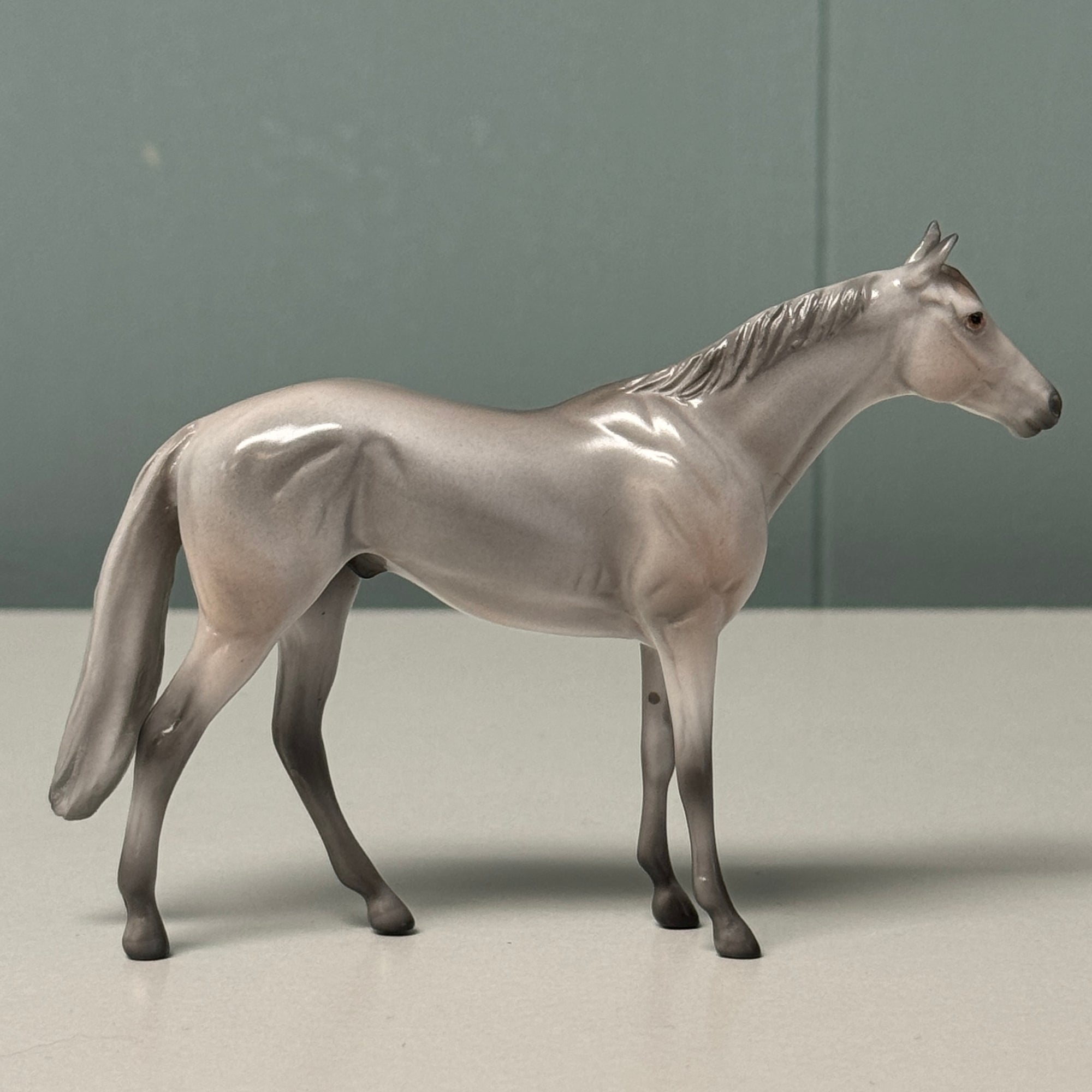 Ash LE-6 Grey Thoroughbred Chip By Angela Marleau $99 Chip Sale