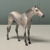 Ash LE-6 Grey Thoroughbred Chip By Angela Marleau $99 Chip Sale