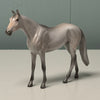 Ash LE-6 Grey Thoroughbred Chip By Angela Marleau $99 Chip Sale