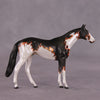 &quot;Accismus&quot; OOAK Thoroghbred Chip by Dawn Quick SHCF25