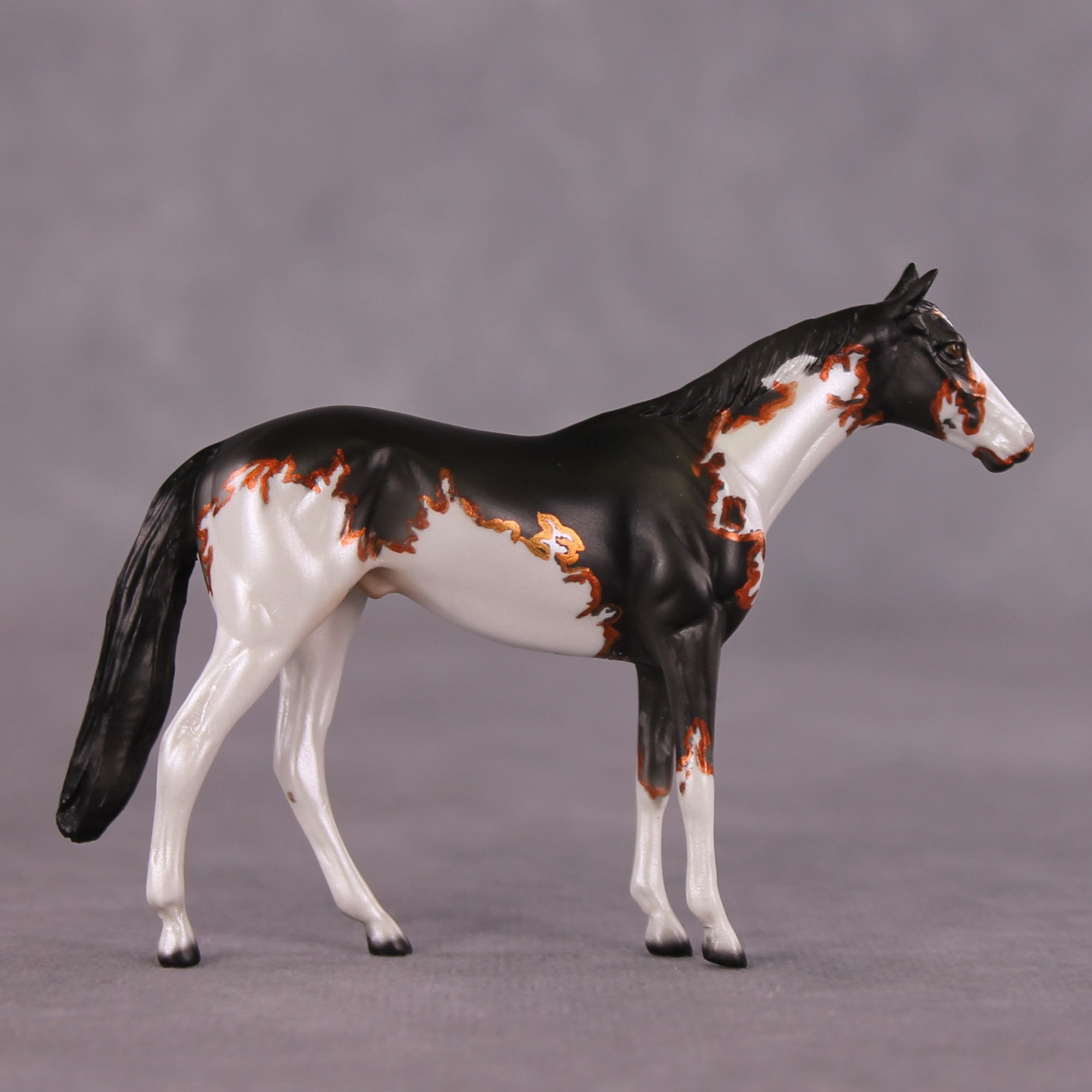 "Accismus" OOAK Thoroghbred Chip by Dawn Quick SHCF25