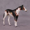 &quot;Accismus&quot; OOAK Thoroghbred Chip by Dawn Quick SHCF25