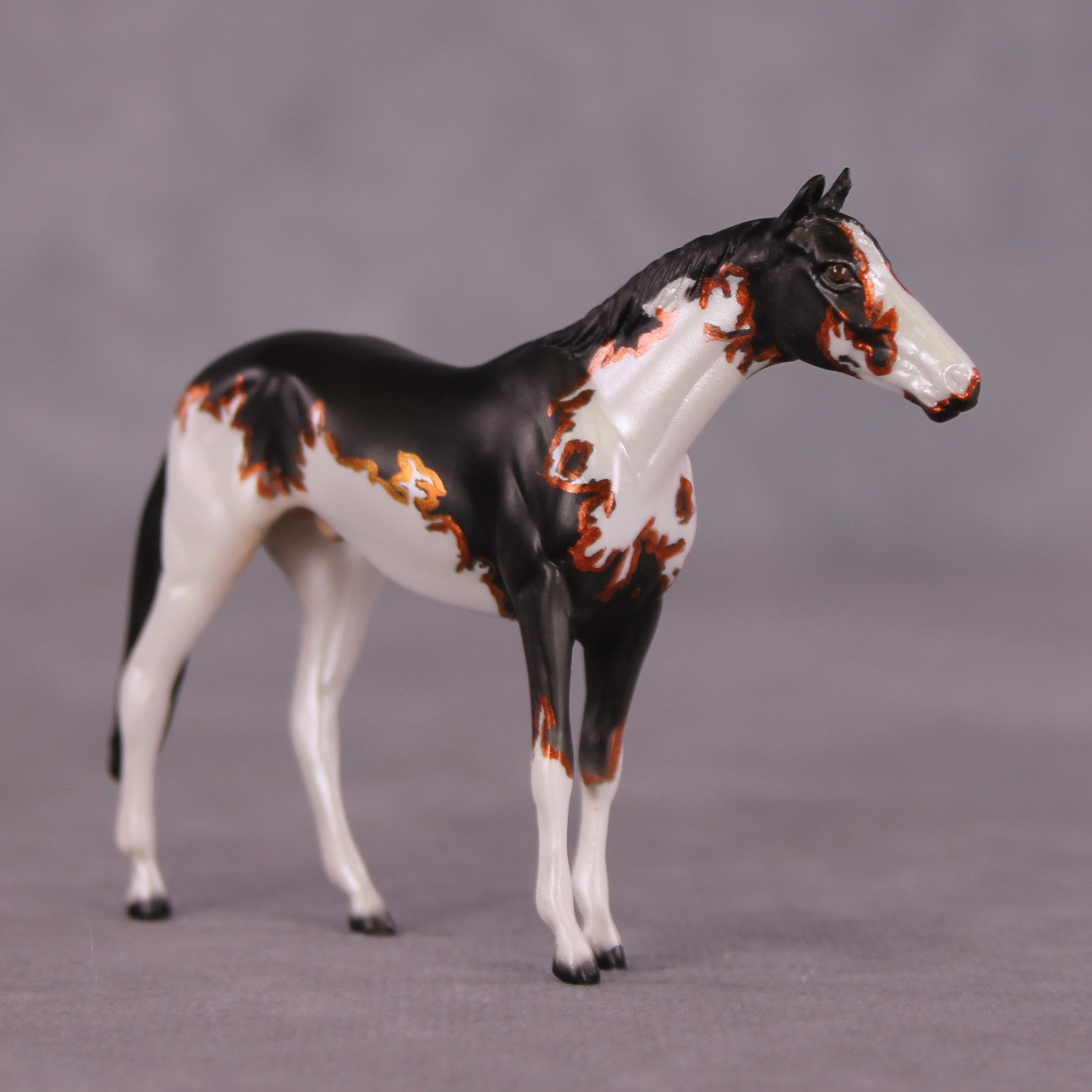 "Accismus" OOAK Thoroghbred Chip by Dawn Quick SHCF25
