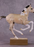 "Yphrum's Law" OOAK Pimento Foal Blind Bag by Jess Hamill SHCF25