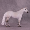 Spica LE-10 FCM Ideal Stock Horse by Ashley Palmer ZS25