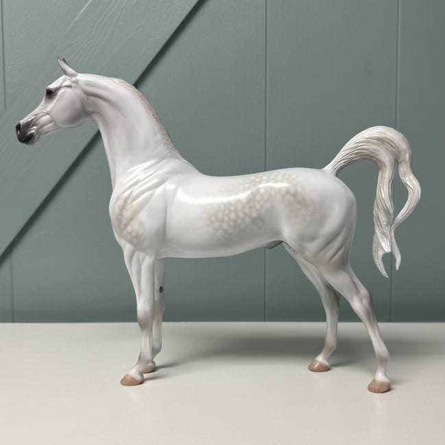 Aphelion OOAK Dappled Grey Arabian By Jess Hamill EQ24