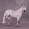 Spica LE-10 FCM Ideal Stock Horse by Ashley Palmer ZS25