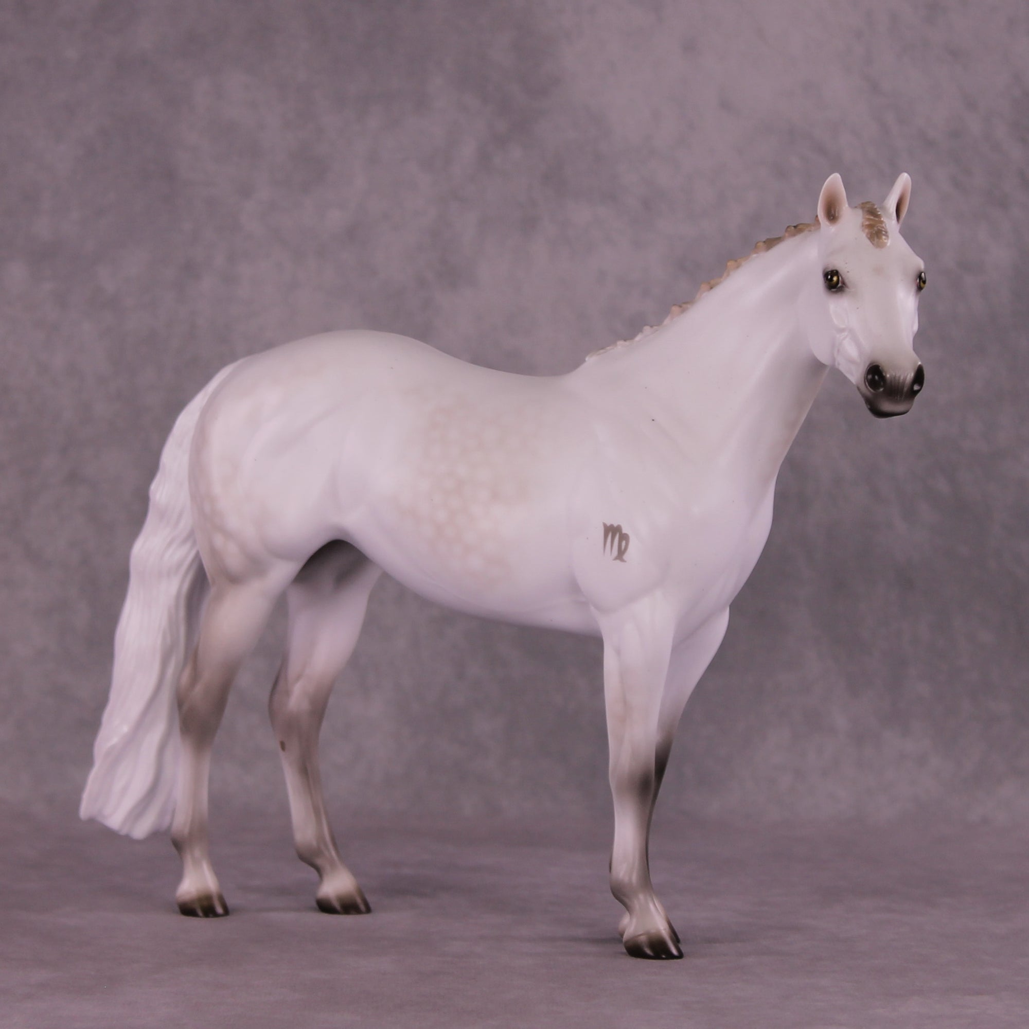 Spica LE-10 FCM Ideal Stock Horse by Ashley Palmer ZS25