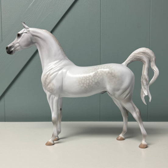Aphelion OOAK Dappled Grey Arabian By Jess Hamill EQ24