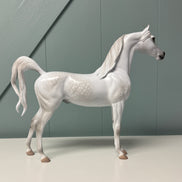 Aphelion OOAK Dappled Grey Arabian By Jess Hamill EQ24