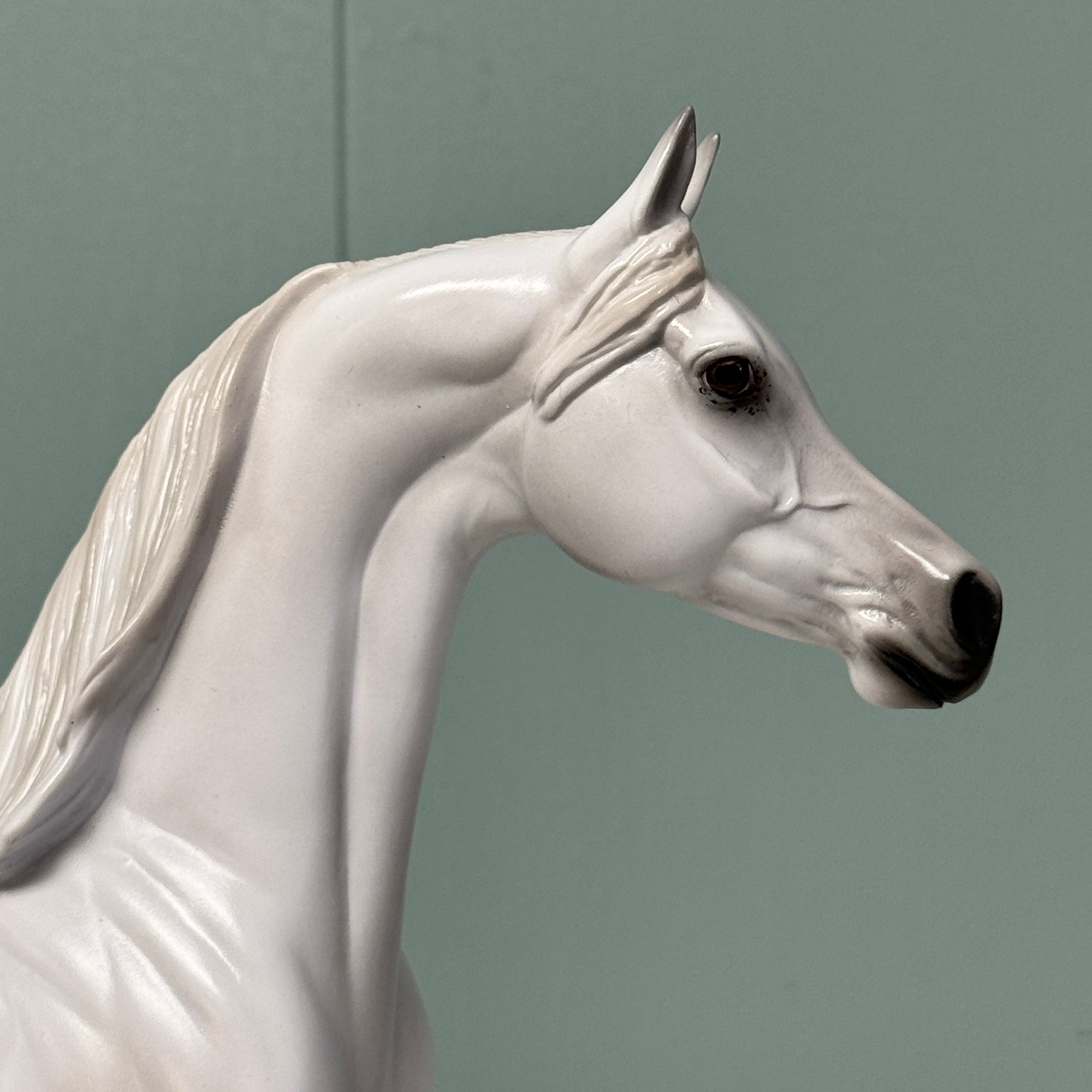 Aphelion OOAK Dappled Grey Arabian By Jess Hamill EQ24