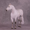 Spica LE-10 FCM Ideal Stock Horse by Ashley Palmer ZS25