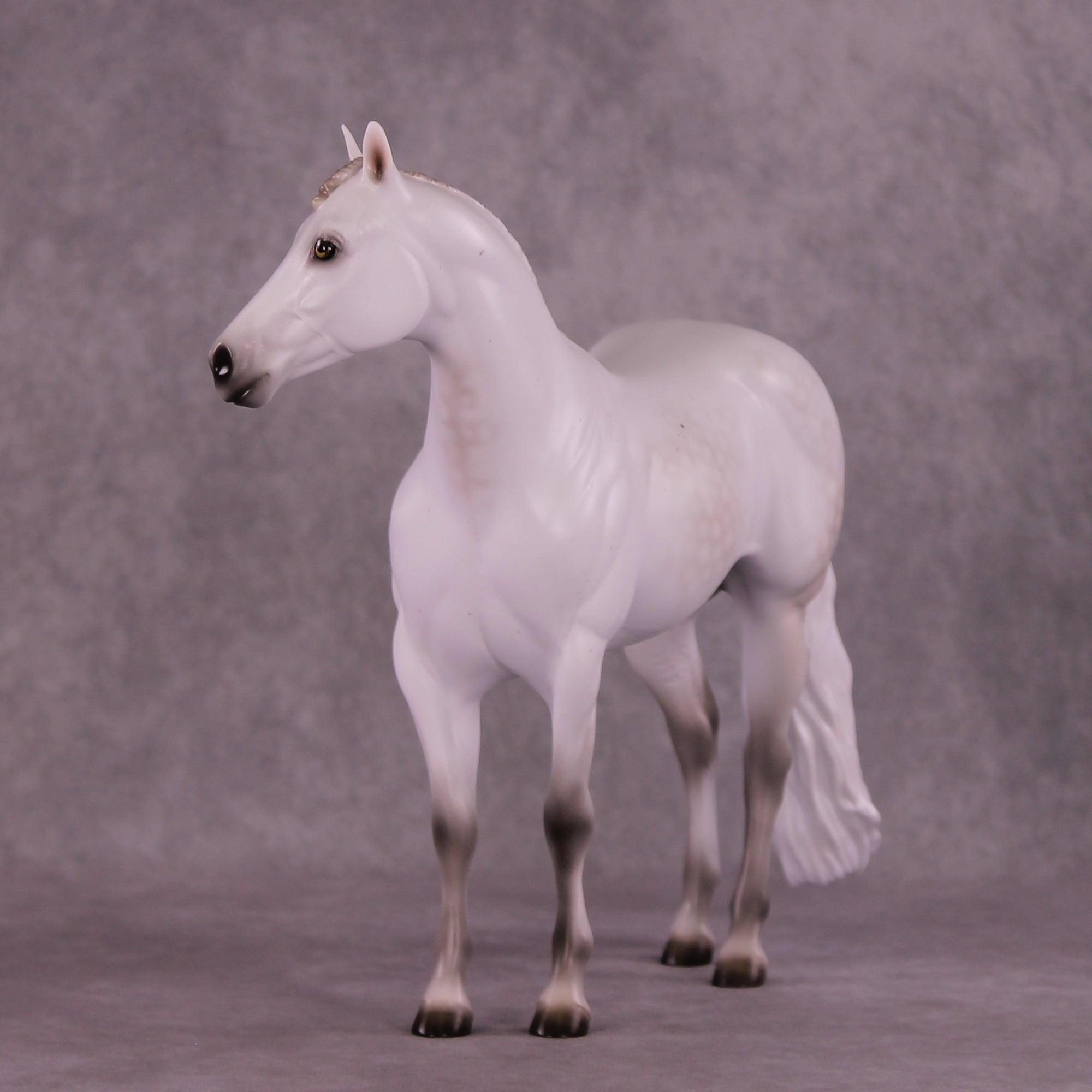 Spica LE-10 FCM Ideal Stock Horse by Ashley Palmer ZS25