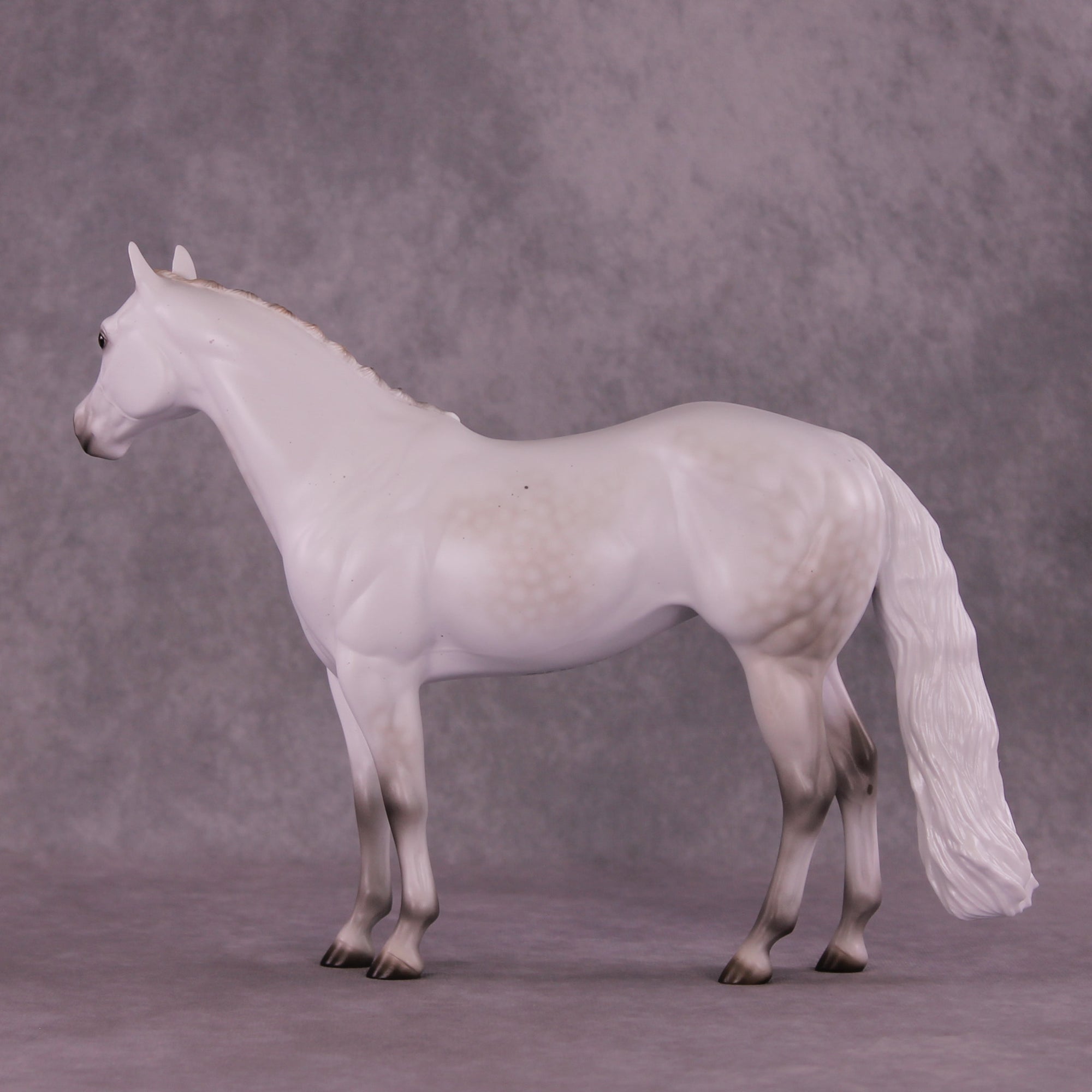 Spica LE-10 FCM Ideal Stock Horse by Ashley Palmer ZS25