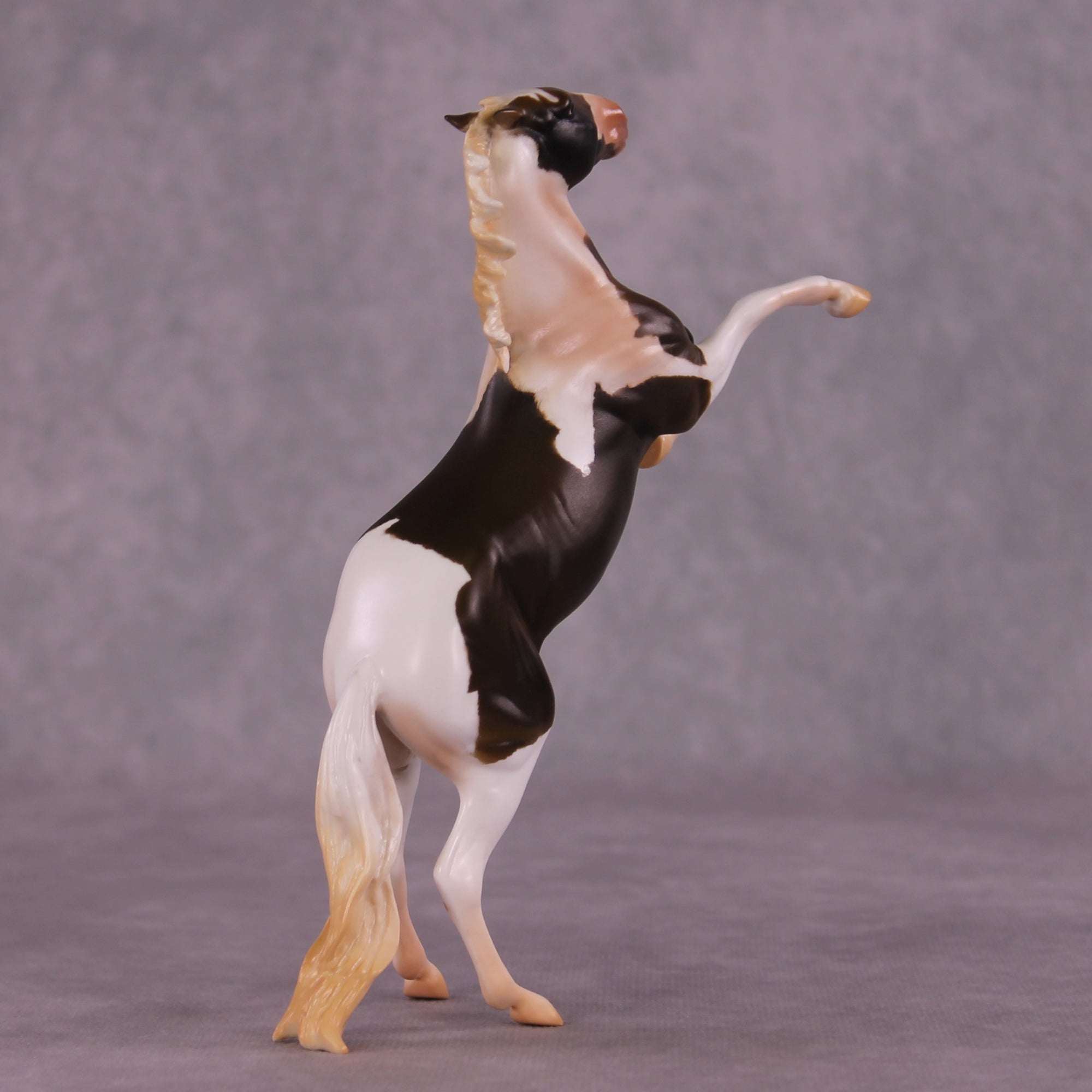 Altair OOAK Rearing Pebble by Anna Rieck Equilocity 2025