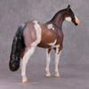 Earl Grey OOAK Roan Pinto ISH W/ Criollo Customizing Painted By Amanda Brock Best Offers 01/07/25