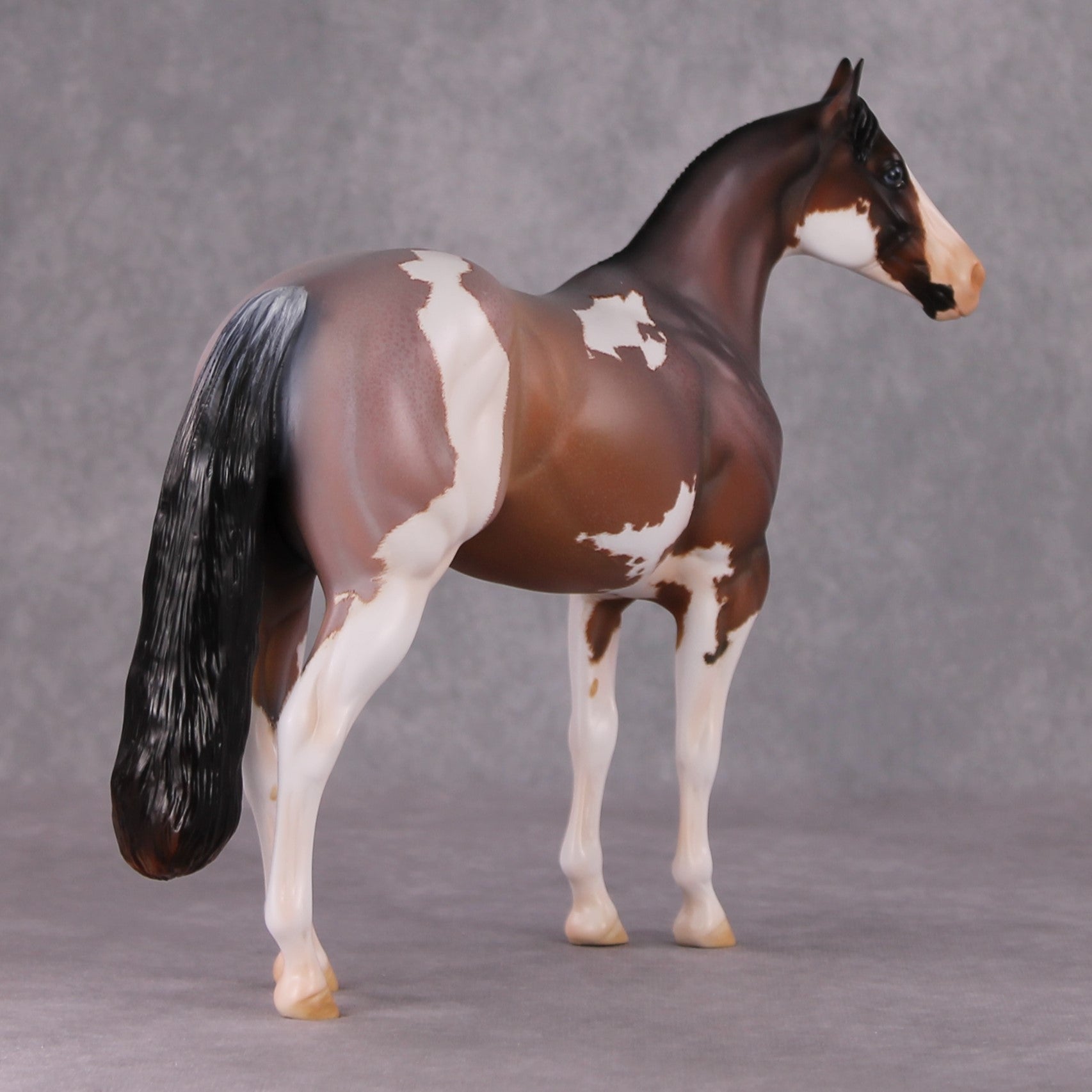 "Earl Grey" OOAK Roan Pinto ISH W/ Criollo Customizing Painted By Amanda Brock Best Offers 01/07/25