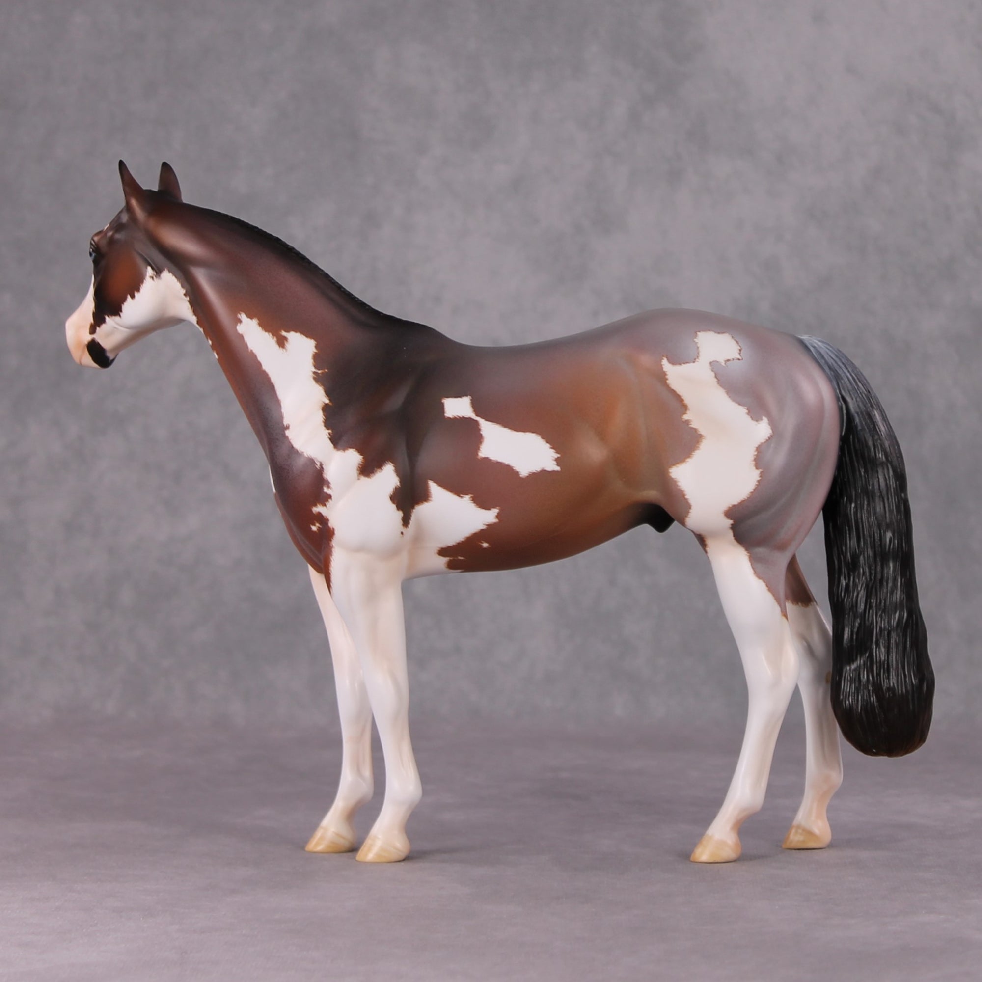 "Earl Grey" OOAK Roan Pinto ISH W/ Criollo Customizing Painted By Amanda Brock Best Offers 01/07/25