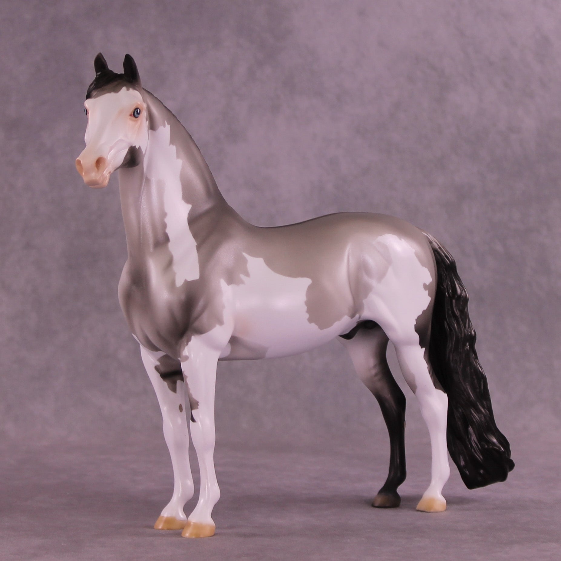 Sliver OOAK Morgan by Dawn Quick DDOOAKs25