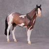 Earl Grey OOAK Roan Pinto ISH W/ Criollo Customizing Painted By Amanda Brock Best Offers 01/07/25