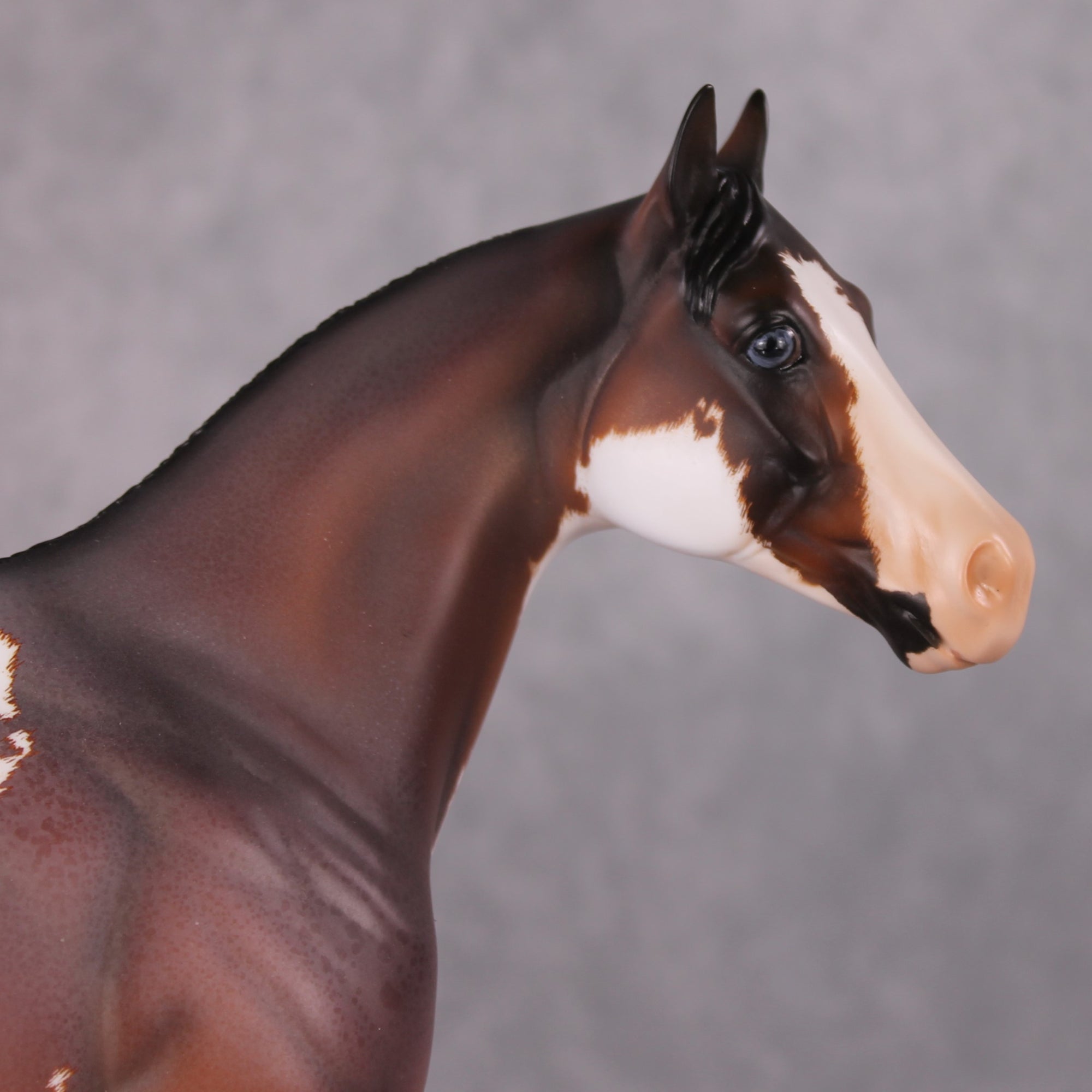 "Earl Grey" OOAK Roan Pinto ISH W/ Criollo Customizing Painted By Amanda Brock Best Offers 01/07/25